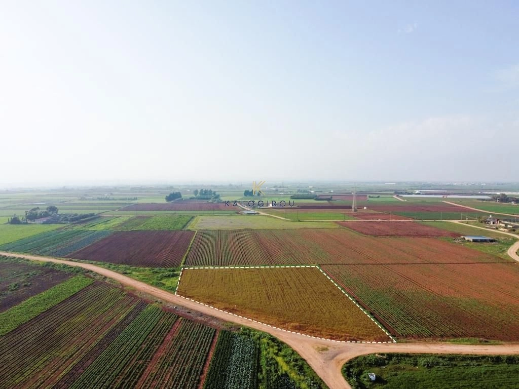 13,925m² Plot for Sale in Ormideia, Larnaca District