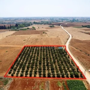 9,384m² Plot for Sale in Avgorou, Famagusta District