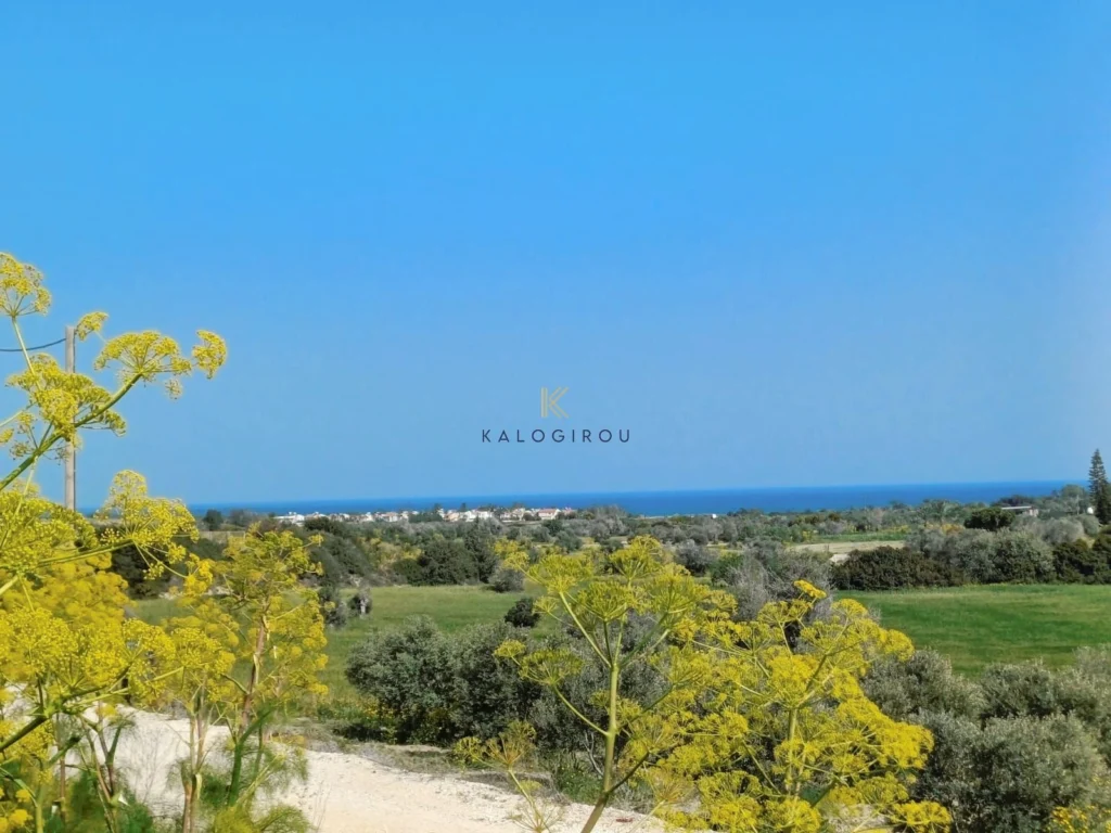 7,209m² Plot for Sale in Mazotos, Larnaca District