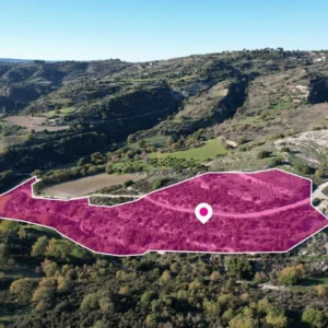 20,068m² Plot for Sale in Psathi, Paphos District