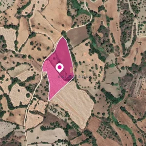 18,395m² Plot for Sale in Lysos, Paphos District