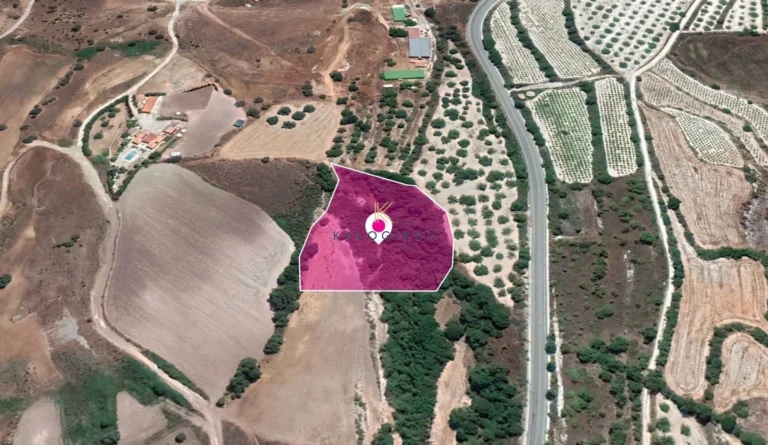 6,021m² Plot for Sale in Simou, Paphos District