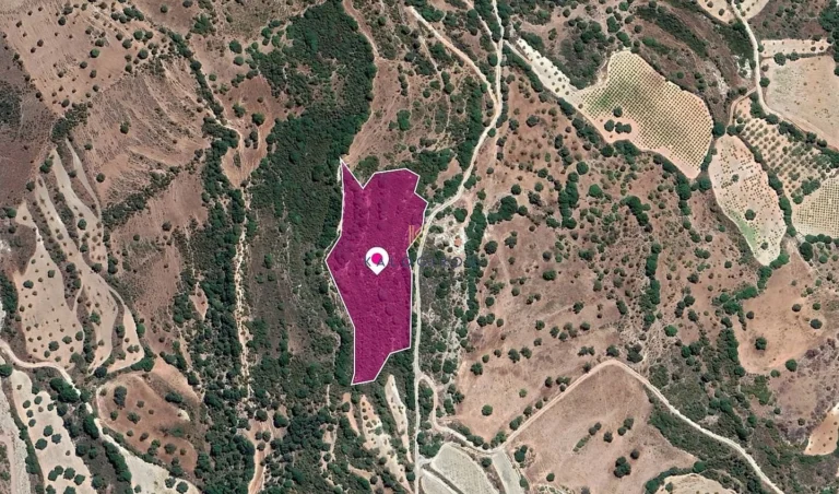 4,682m² Plot for Sale in Choulou, Paphos District