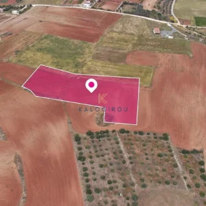 5,640m² Plot for Sale in Agioi Trimithias, Nicosia District