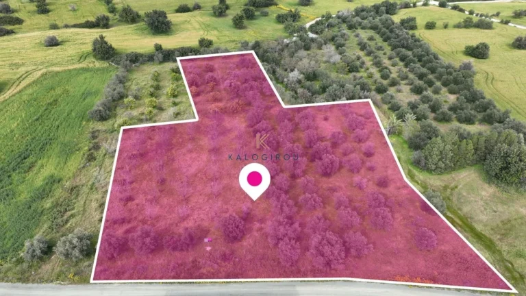 5,000m² Plot for Sale in Anglisides, Larnaca District