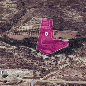 15,720m² Plot for Sale in Skarinou, Larnaca District