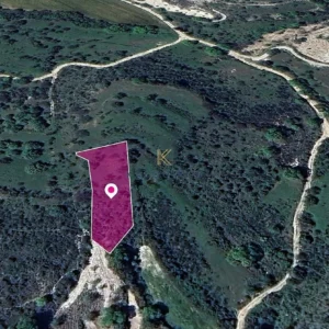 1,003m² Plot for Sale in Lemona, Paphos District