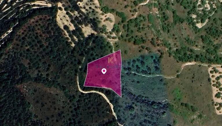 2,667m² Plot for Sale in Theletra, Paphos District