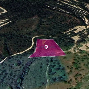 2,667m² Plot for Sale in Theletra, Paphos District