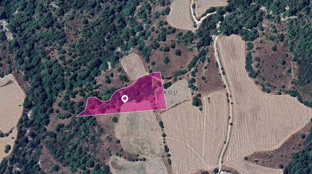 9,700m² Plot for Sale in Mousere, Paphos District