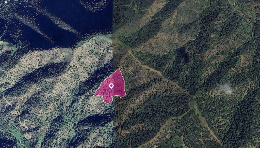 27,562m² Plot for Sale in Pomos, Paphos District