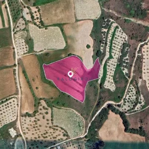 7m² Plot for Sale in Theletra, Paphos District