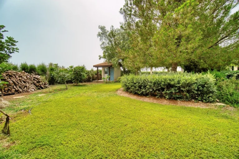 5 Bedroom House for Sale in Timi, Paphos District