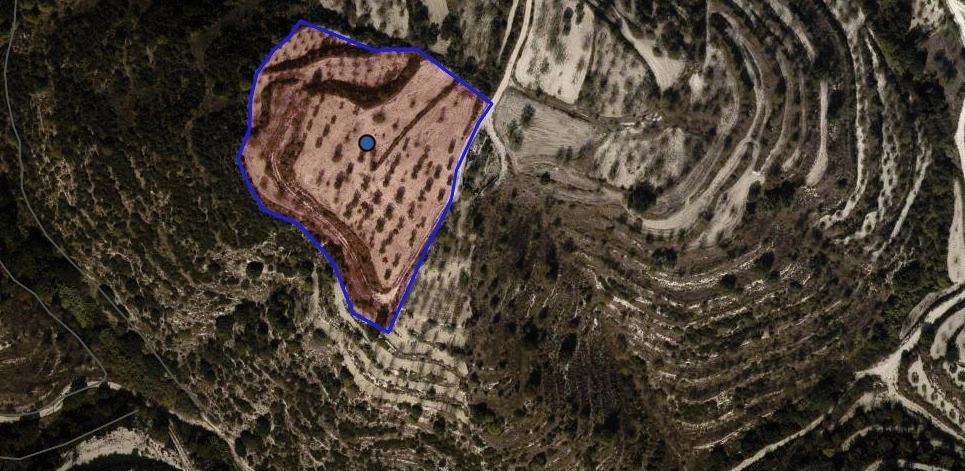 11,037m² Plot for Sale in Paphos District