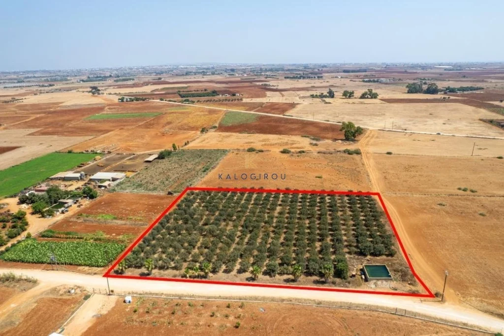 9,384m² Plot for Sale in Avgorou, Famagusta District