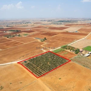 9,384m² Plot for Sale in Avgorou, Famagusta District