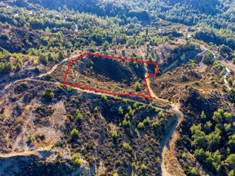 16,389m² Plot for Sale in Kynousa, Paphos District