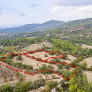 10,369m² Plot for Sale in Lysos, Paphos District