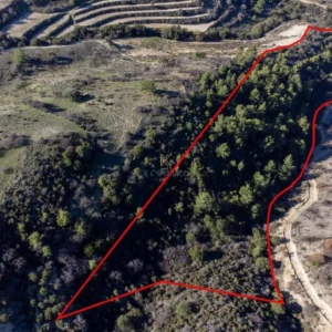 19,399m² Plot for Sale in Mousere, Paphos District