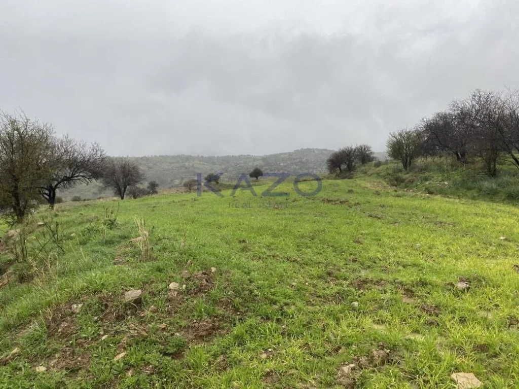 12,041m² Plot for Sale in Kelokedara, Paphos District