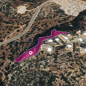 7,024m² Plot for Sale in Pegeia, Paphos District