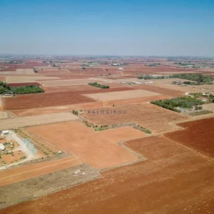 13,543m² Plot for Sale in Avgorou, Famagusta District