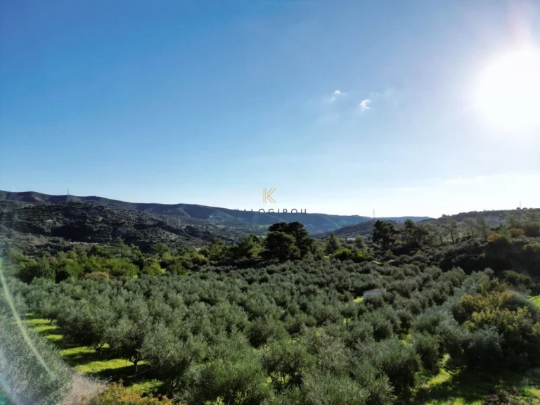 7,024m² Plot for Sale in Kalavasos, Larnaca District