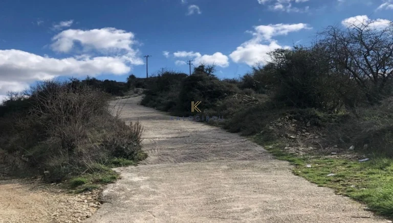 9,365m² Plot for Sale in Stroumpi, Paphos District