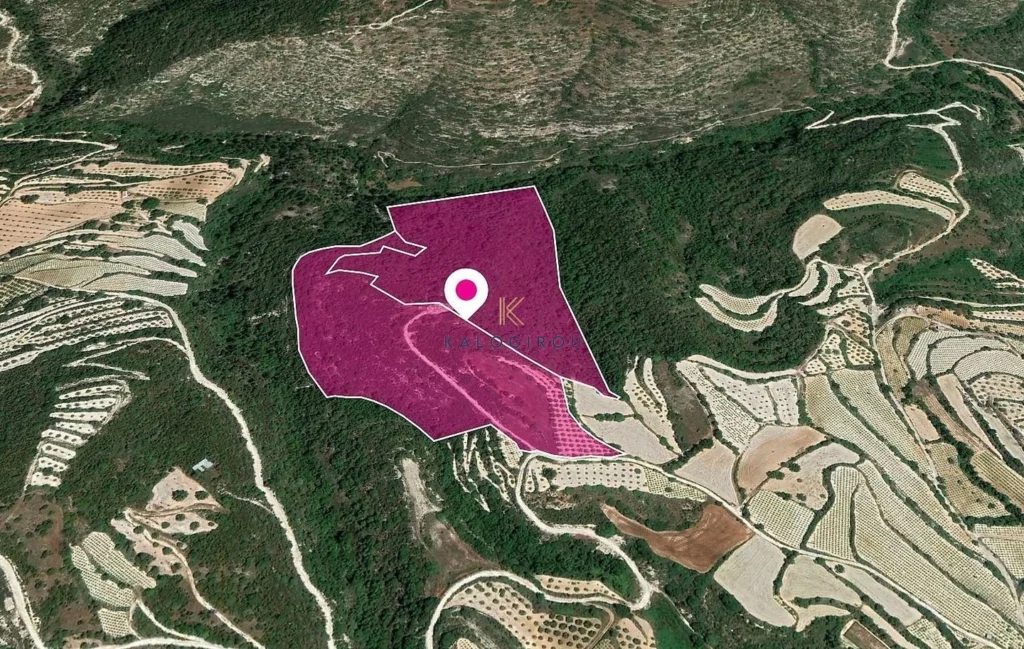 26,417m² Plot for Sale in Koili, Paphos District