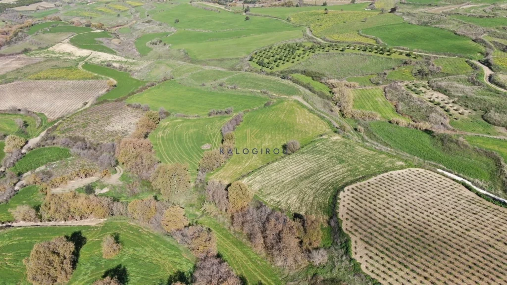10,015m² Plot for Sale in Stroumpi, Paphos District
