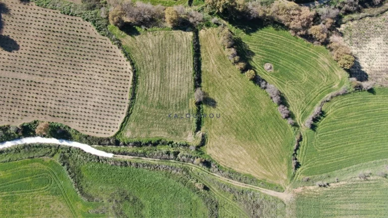 10,015m² Plot for Sale in Stroumpi, Paphos District