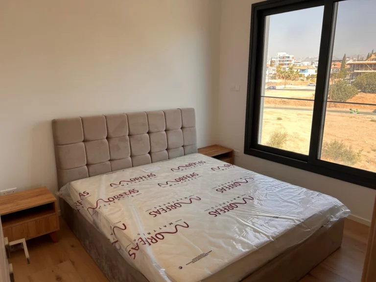 3 Bedroom Apartment for Rent in Limassol District