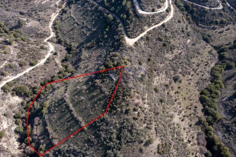 12,041m² Plot for Sale in Dora, Limassol District