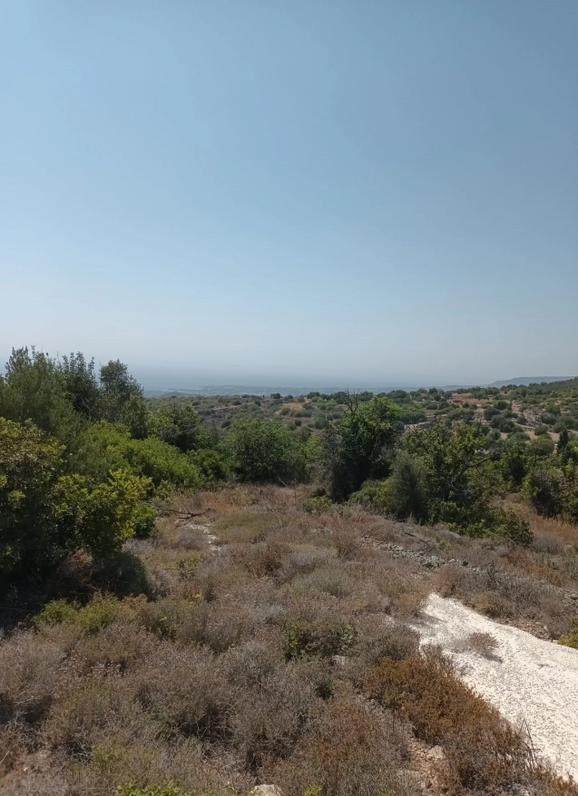 Plots of Land for Sale