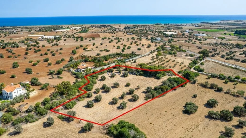 11,037m² Plot for Sale in Mazotos, Larnaca District
