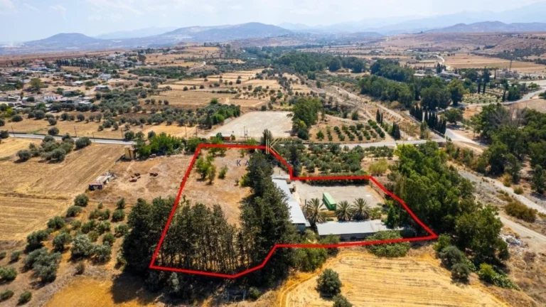 890m² Commercial for Sale in Orounta, Nicosia District