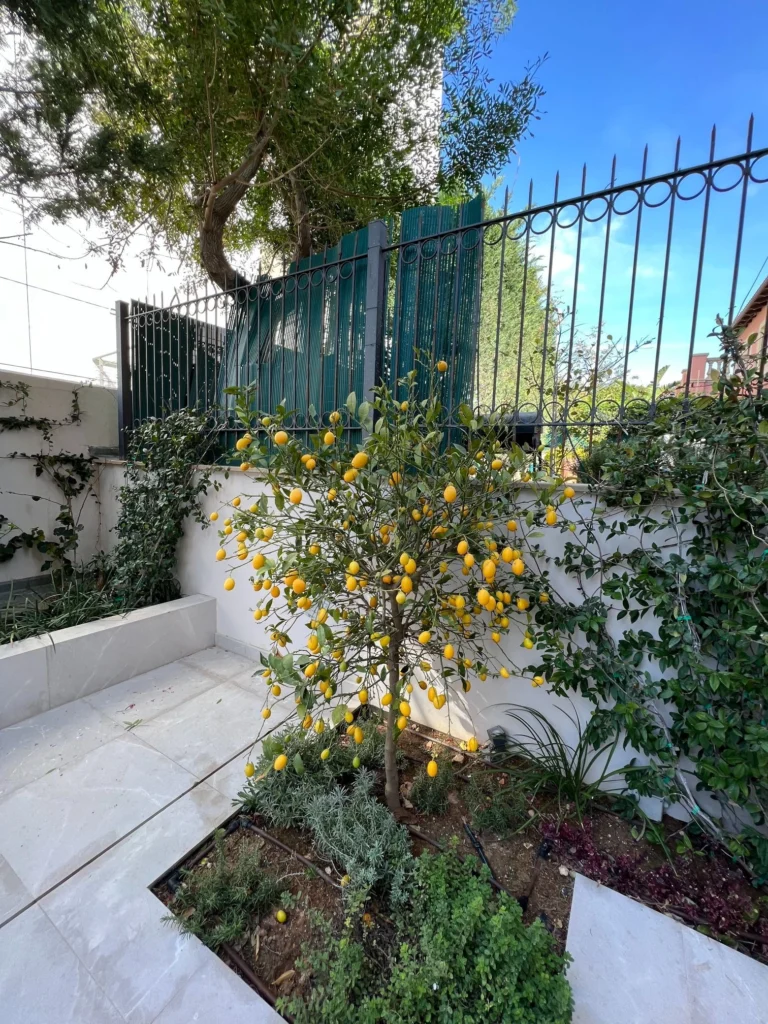 Average Price for 2 Bedroom Apartment in Limassol