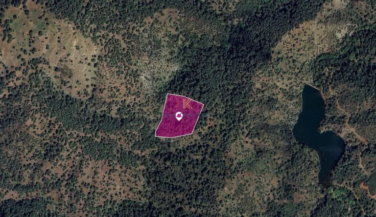 17,057m² Plot for Sale in Pigenia, Nicosia District