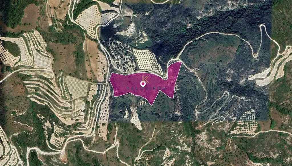 13,713m² Plot for Sale in Theletra, Paphos District
