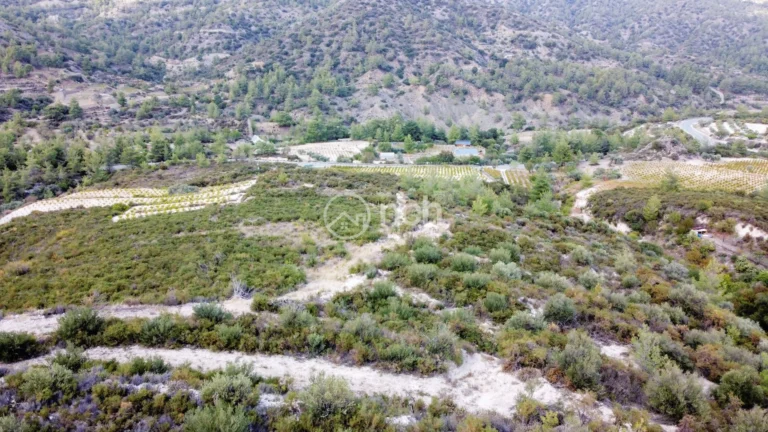 25,284m² Plot for Sale in Agios Mamas, Limassol District