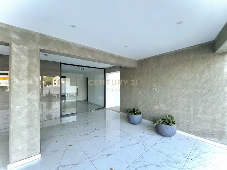 2 Bedroom Apartment for Rent in Limassol District