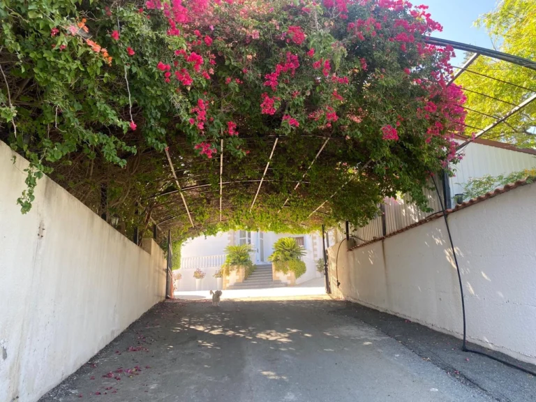 5 Bedroom House for Sale in Parekklisia, Limassol District
