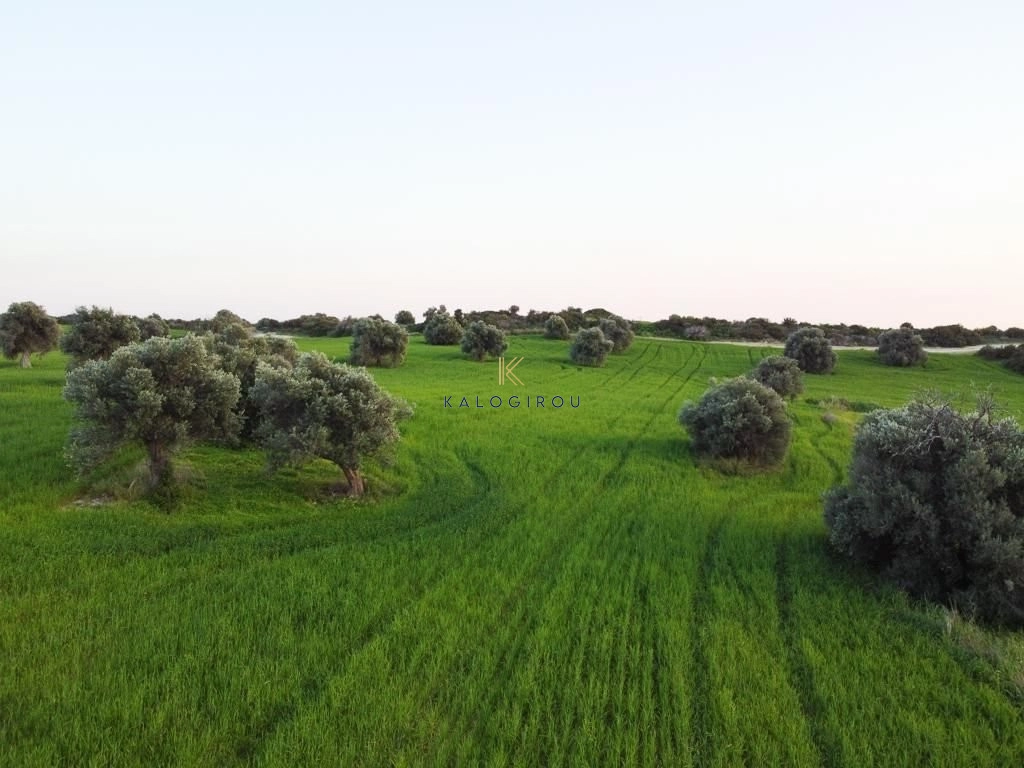 5,352m² Plot for Sale in Agios Theodoros, Larnaca District