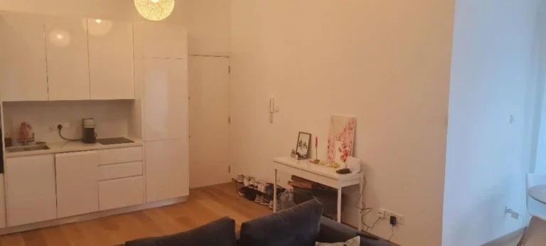 2 Bedroom Apartment for Rent in Limassol District