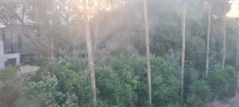 2 Bedroom Apartment for Rent in Limassol District