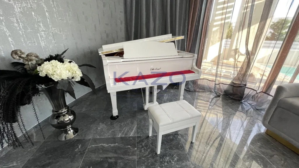 5 Bedroom House for Sale in Limassol District