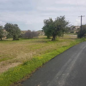 10,018m² Plot for Sale in Choirokoitia, Larnaca District