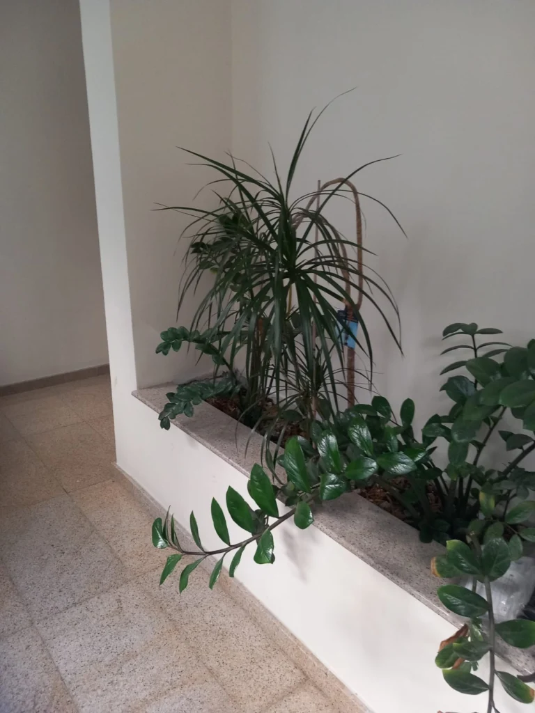 3 Bedroom Apartment for Rent in Limassol – Neapolis