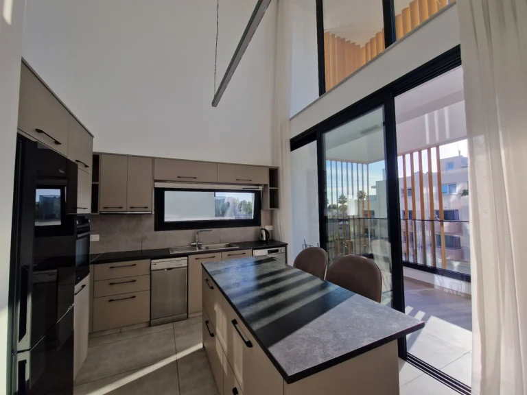 2 Bedroom Apartment for Rent in Limassol District