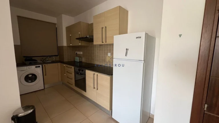 1 Bedroom Apartment for Rent in Tersefanou, Larnaca District